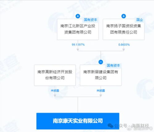 電大大專(zhuān)生研發(fā)政務(wù)軟件變身大股東 大漢軟件實(shí)控人疑點(diǎn)重重